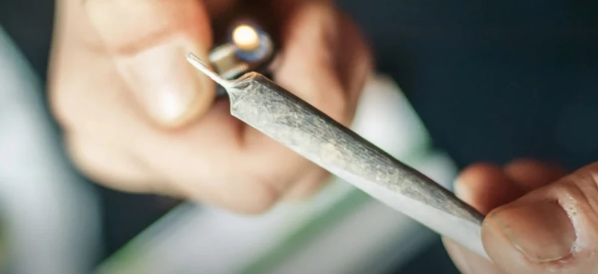 Cannabis como porta de saída