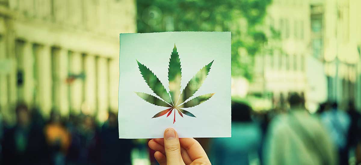 cannabis nas redes sociais com Anitta Krepp