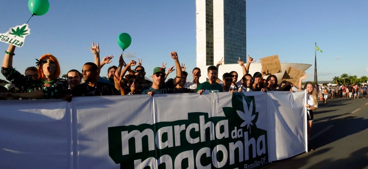 bancada da cannabis