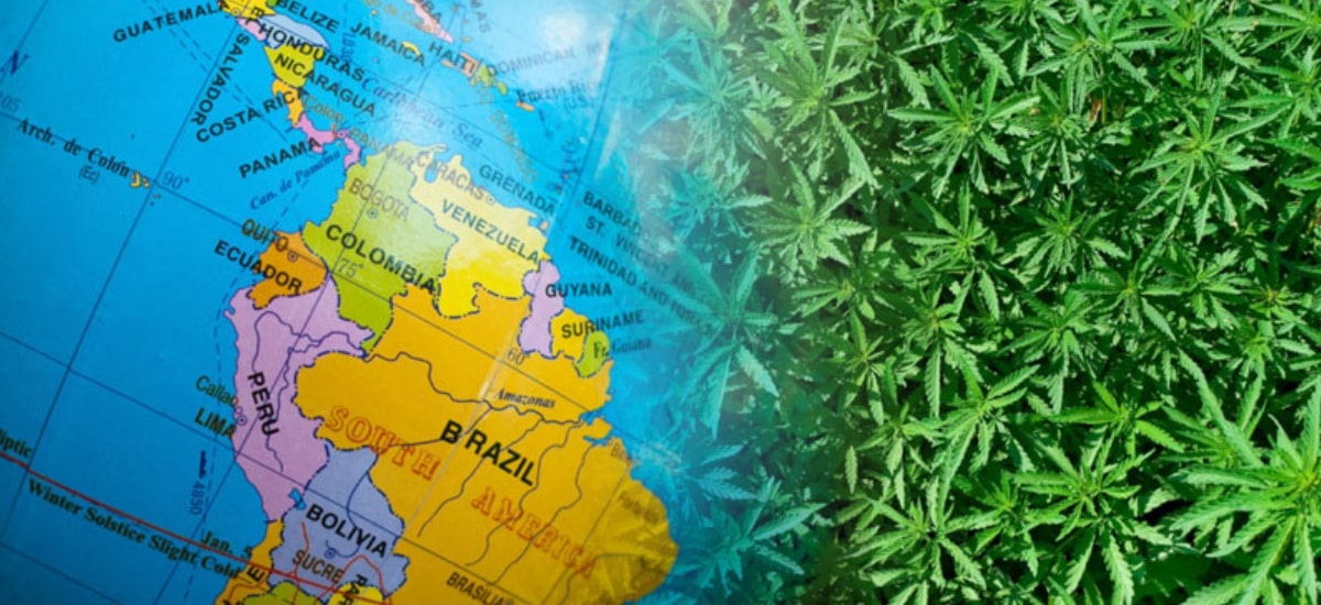 Cannabis na América