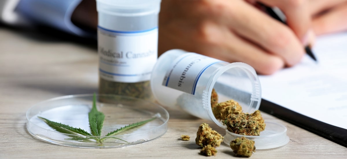 lei de cannabis no sus