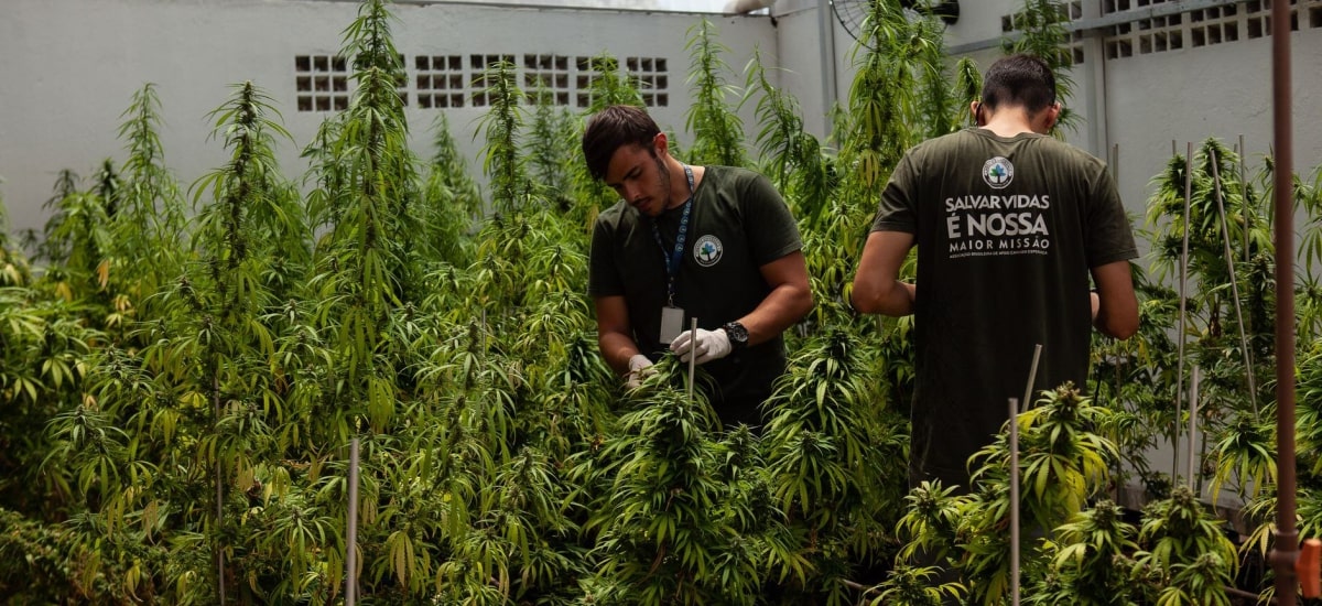 associações em Brasília