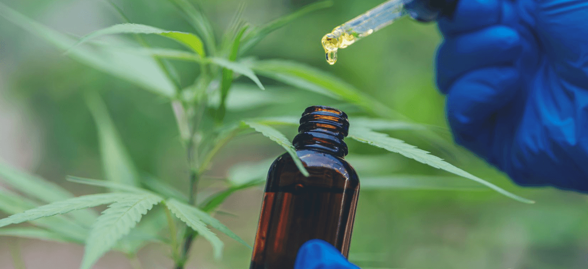 Medicamentos à base de maconha